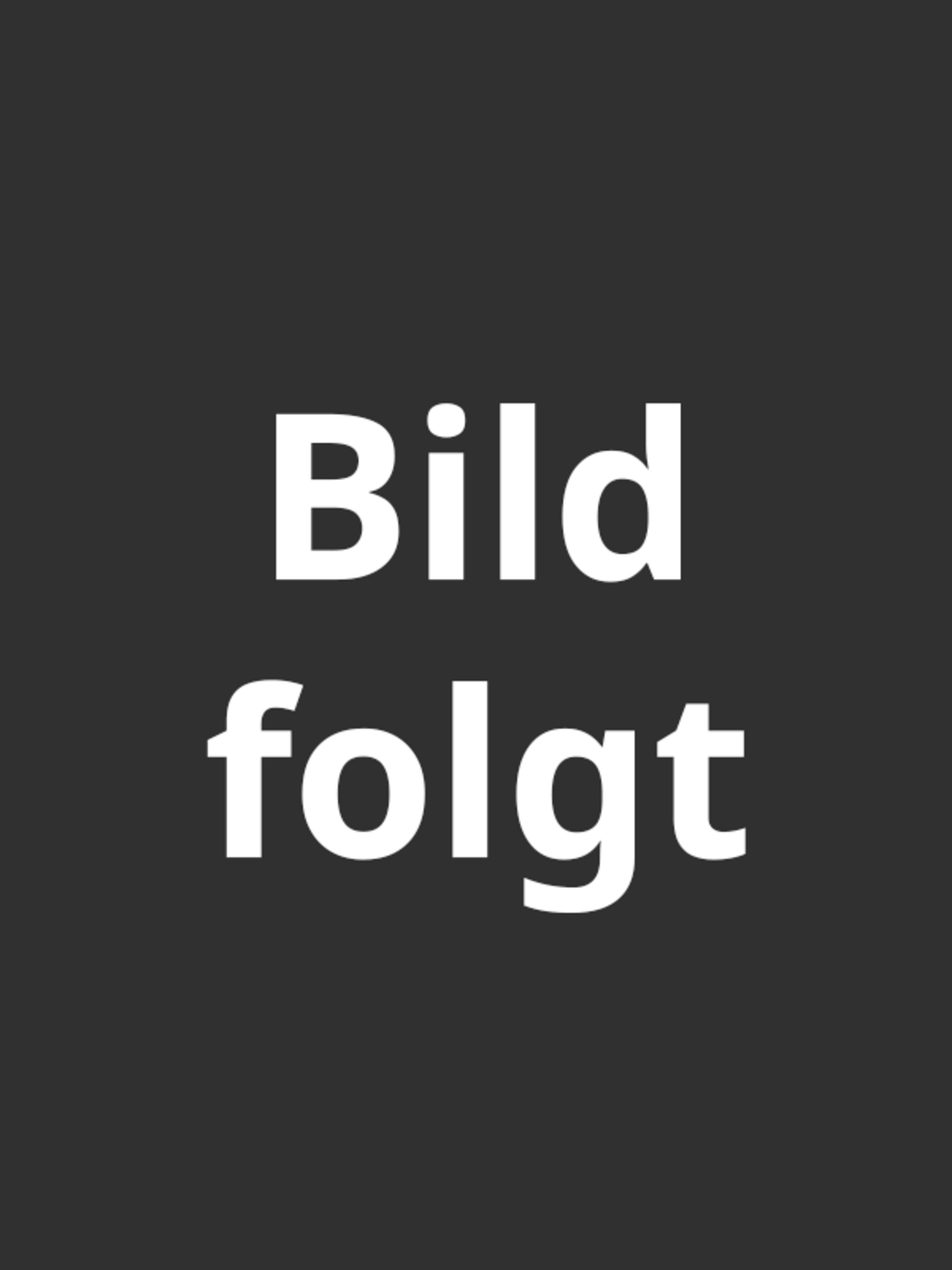 Tobias Niedermaier bei Elektro Schweizer in Nürtingen